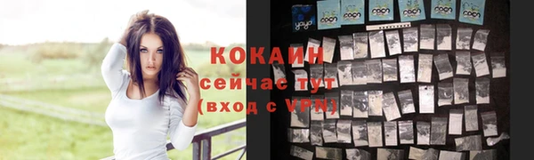 дурь Магас