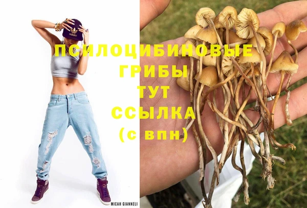 бутират Ладушкин