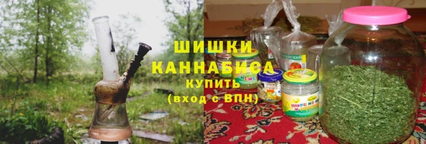 дурь Магас