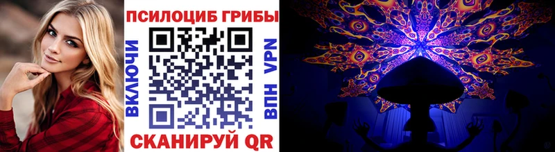Псилоцибиновые грибы Cubensis  Щёлкино 