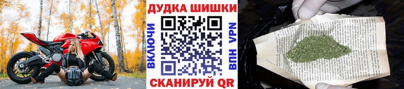 Каннабис Ganja  Щёлкино 
